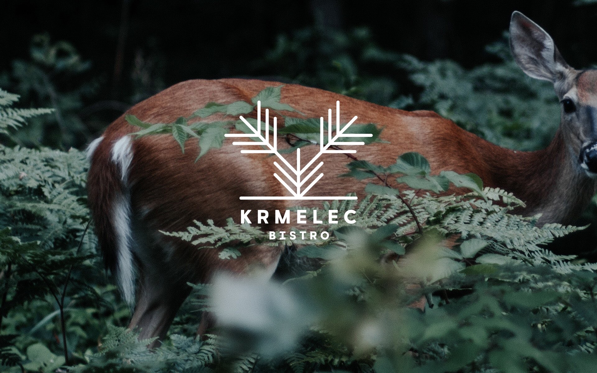 Bistro Krmelec